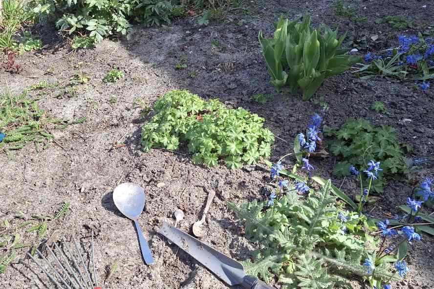 foto van Ria's tuin met een lepel